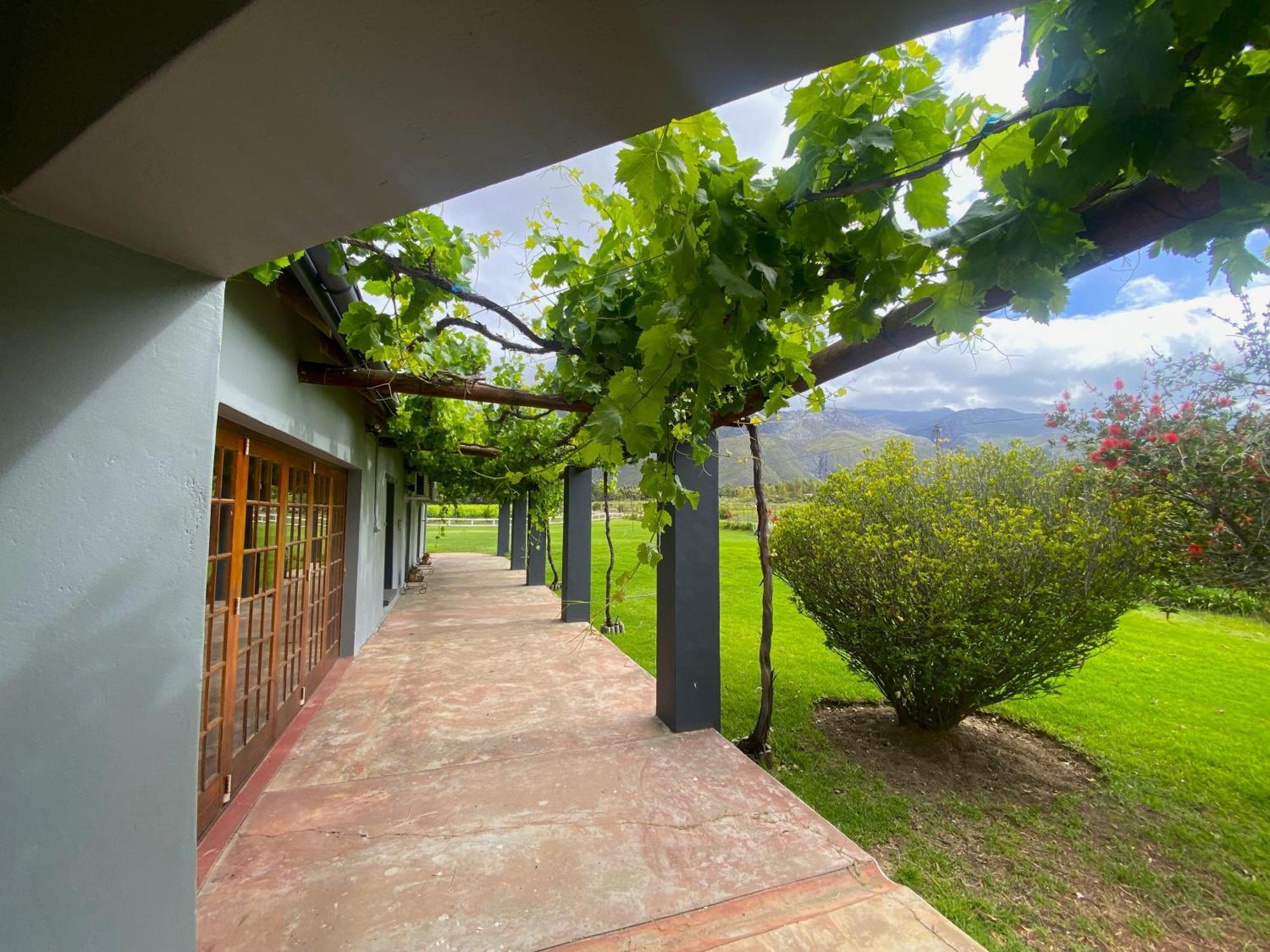 Отель Oaksrest Vineyards Guest Farm Ледисмит Экстерьер фото
